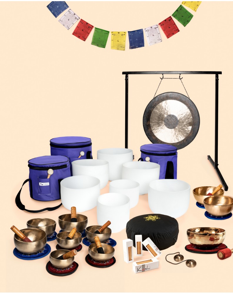 Set Sonoterapia Profesional Completo Kits Sonoterapia