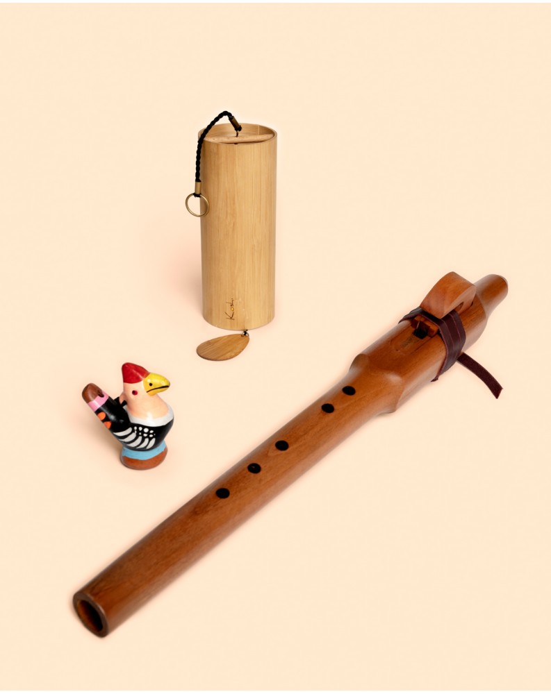 Set Sonidos Aria Kits Sonoterapia