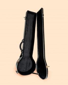 Sitar Travel Eléctrico - Profesional con Hard Case Sitar
