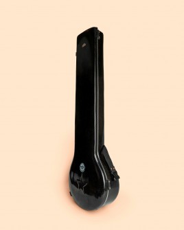 Sitar Travel Eléctrico - Profesional con Hard Case Sitar