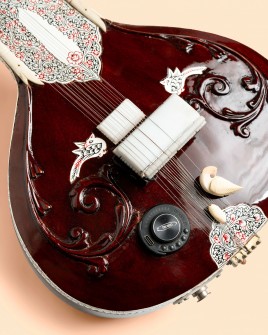 Sitar Travel Eléctrico - Profesional con Hard Case Sitar