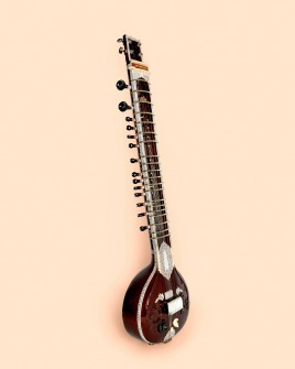 Sitar Travel Eléctrico - Profesional con Hard Case Sitar