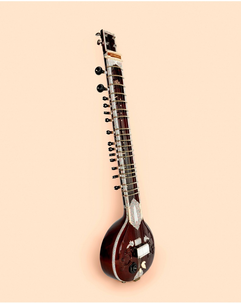 Sitar Travel Eléctrico - Profesional con Hard Case Sitar