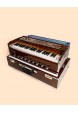 Armonio Profesional Amrit - 3,5 Octavas Armonios