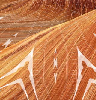 Cms-Banner2.jpg